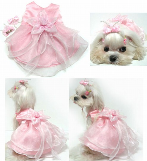 A___PZA_11pink_saty_Party.jpg